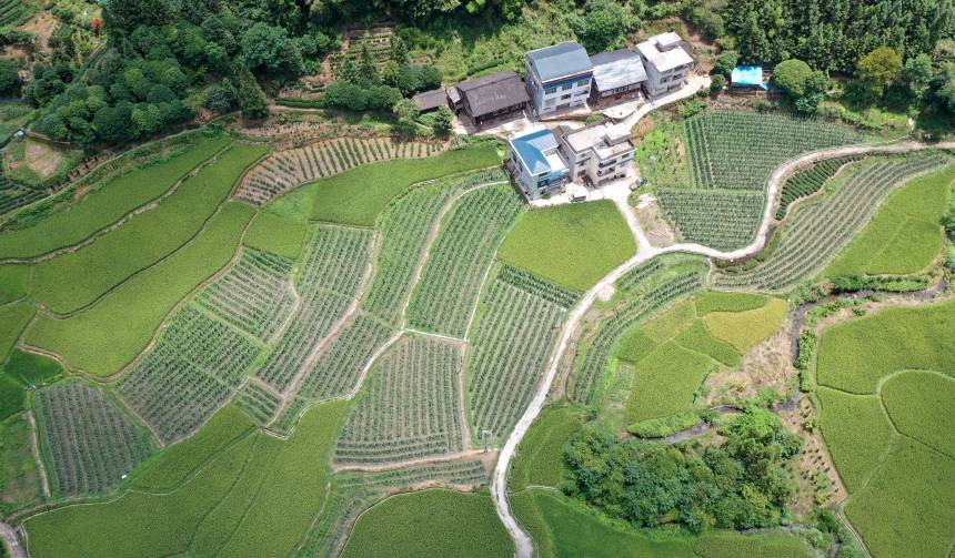 �V�������������οh�����(zh��n)ɳ�˴僞(y��u)�|(zh��)���ǷNֲ���������տ��z