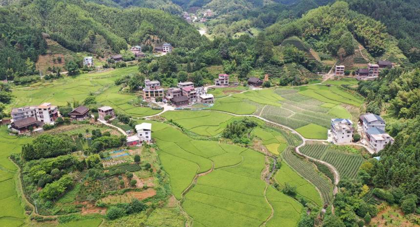 �V�������������οh�����(zh��n)ɳ�˴僞(y��u)�|(zh��)���ǷNֲ���ء����տ��z