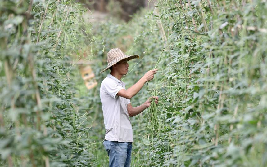 һ���������ڷNֲ�@���ժ���������տ��z