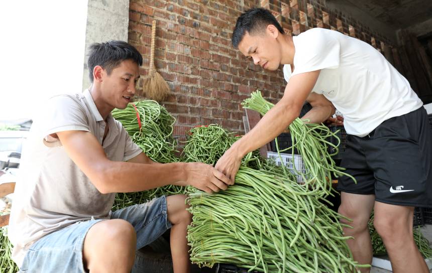 �����������������²��յĶ��������տ��z