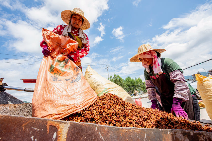 ���񂃰ћ���õİ˽ǰ��b�\ݔ��