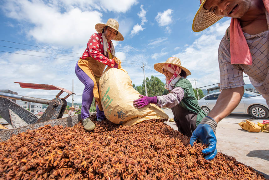 ���񂃰ћ���õİ˽ǰ��b�\ݔ��