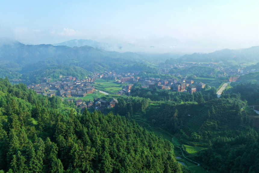 �����е��F�i���^(q��)ľ�����L�|�Ҕz