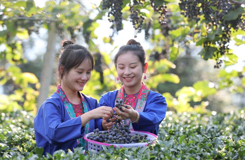 ������������������ш@��(n��i)�������������տ��z