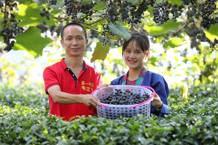 �v���һ��ӛ�Ͷ������һͬչʾ�²�ժ�����ѡ����տ��z