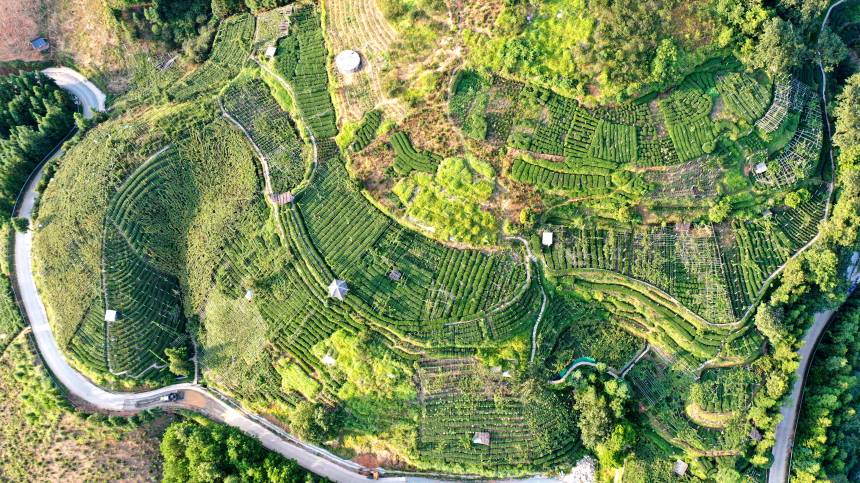 �o�˙C(j��)���ĵ������������οhͬ�������l(xi��ng)�w�|�����ш@��ɫ�����տ��z