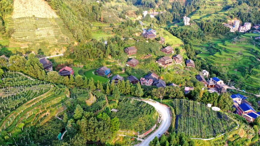 �o�˙C���ĵ������������οhͬ�������l(xi��ng)�w�|�����ш@��ɫ�����տ��z