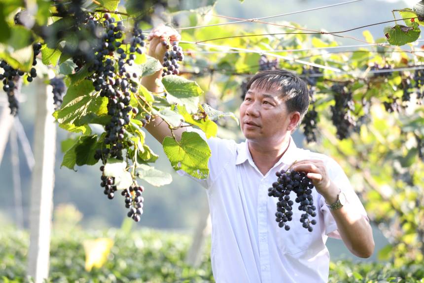 һ������������ш@��(n��i)�������ѡ����տ��z