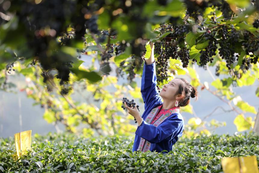 һ����������������ш@��(n��i)�������ѡ����տ��z