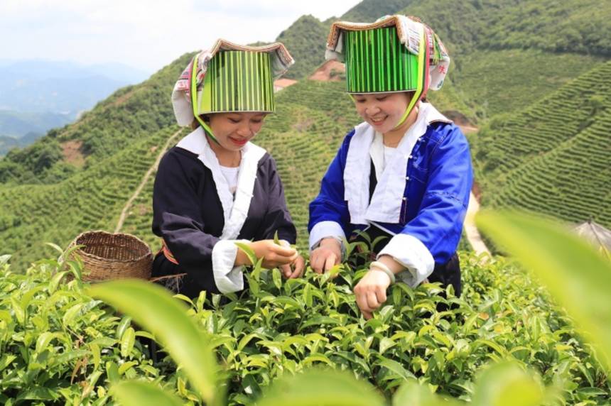 ����Ⱥ���ڲ�@�ɲ����R����ƽ���^(q��)��ý�w���Ĺ��D