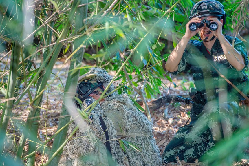 �ѓ�С�M�[���^�씳����