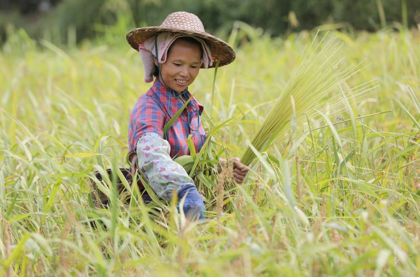 �������������οh�����(zh��n)���ɴ���һ���DŮ�ڼ��̰������տ��z