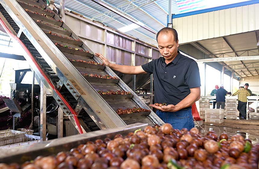 ʾ���^(q��)ؓ(f��)؟(z��)�˙z���(ji��n)����ƤЧ����