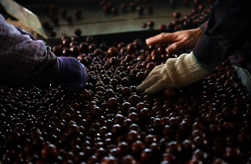 ��Ʉ�Ƥ����ϴ�Ĉ�(ji��n)��M�l(f��)����