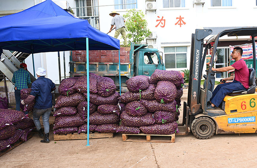 �b�\�Թ���