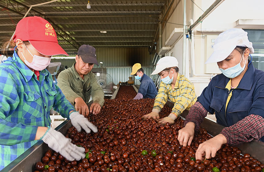 ���˒���δ��Ʉ�Ƥ�Ĉ�(ji��n)����