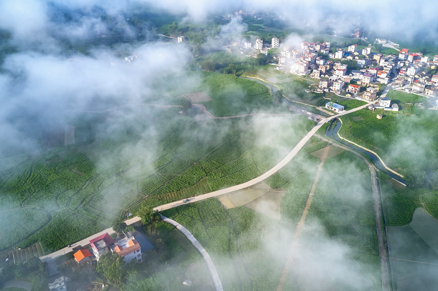 �����ɣ������Ҧ׌�͔z