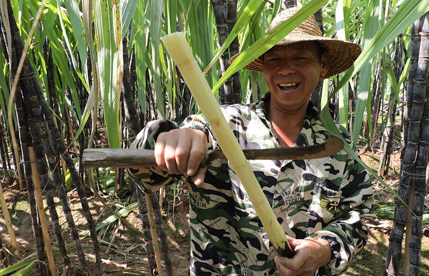 ���rϲЦ��_���S�����z