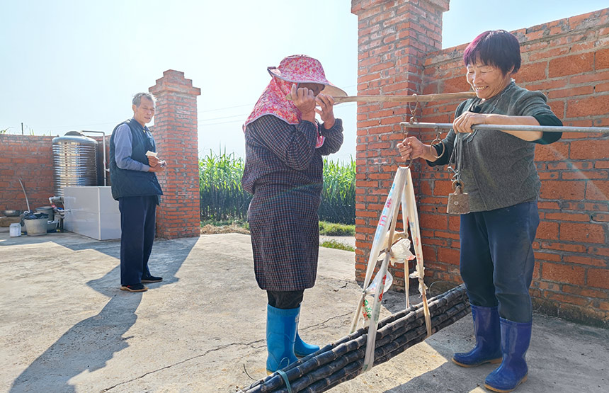 �^�Q���S�����z