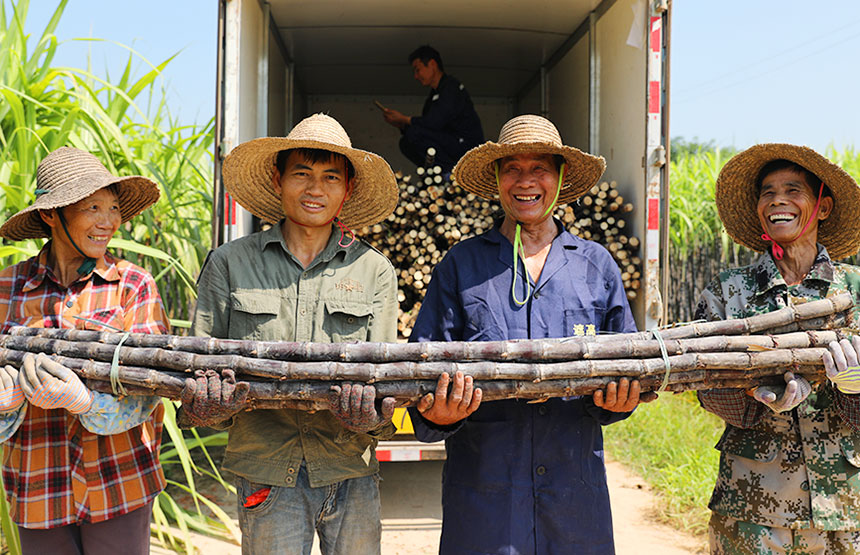 ���r(n��ng)ϲЦ��_���S�����z