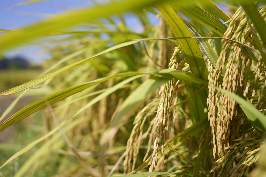 ��m(x��)����ĵ�����