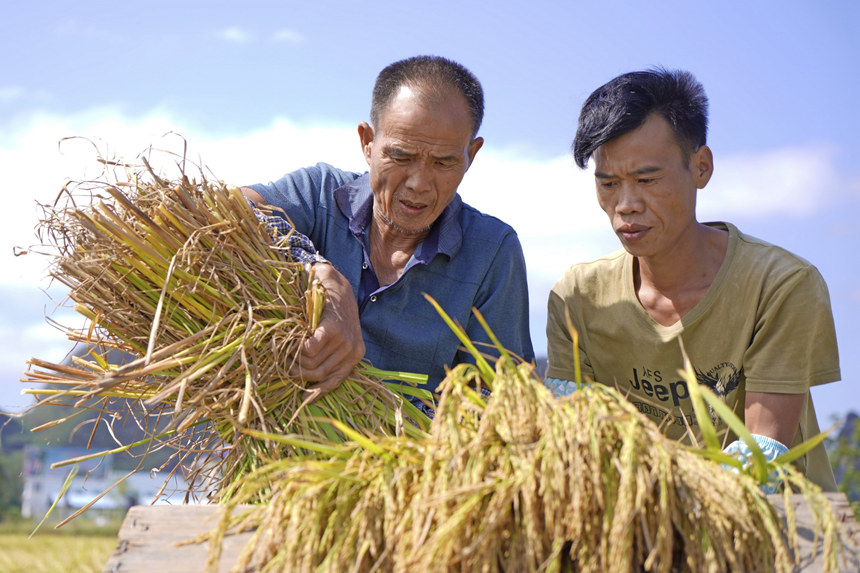 �r(n��ng)�����յ�����