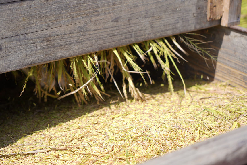 ��õĵ��ȡ�