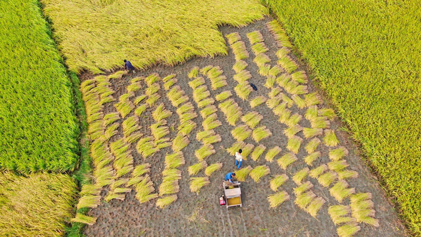 ���Į�(d��ng)?sh��)��r(n��ng)���ȡ��򵾹���