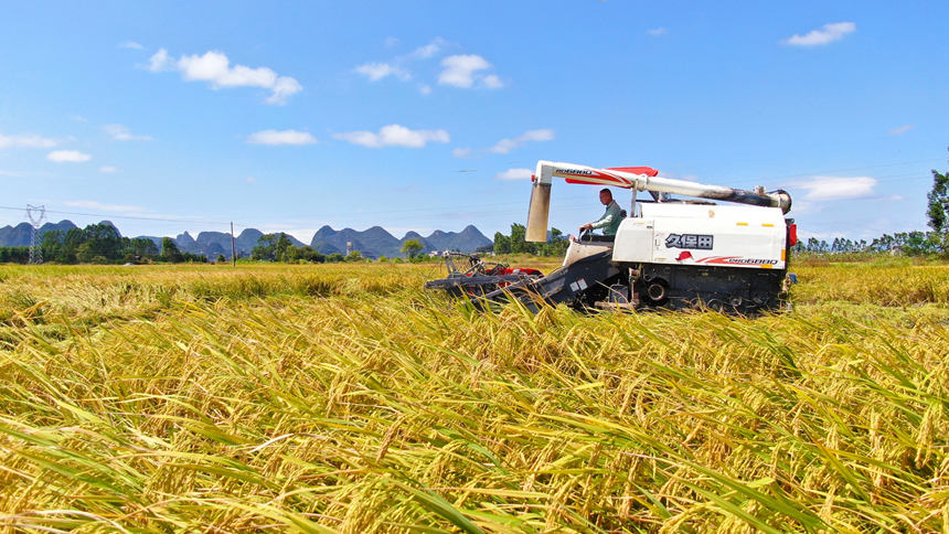 �ո�C(j��)���ո�ȡ�