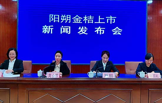 ���l(f��)�����F���������湩�D