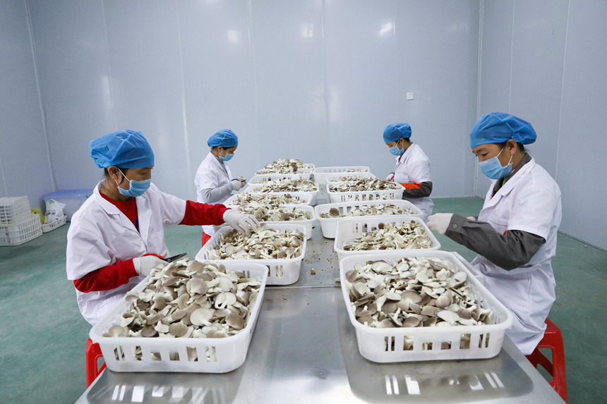 �������ڌ�(du��)����ժ�����rʳ�þ��M(j��n)�з֒��������