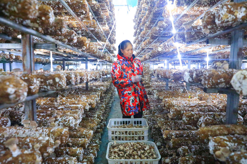 �������ڲ�ժ�㹽��