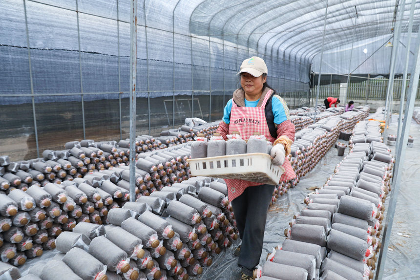 �ڏV��ʳ�þ����؄�(w��)���Ĵ�����æ�����\(y��n)���ѷ�ʳ�þ�����