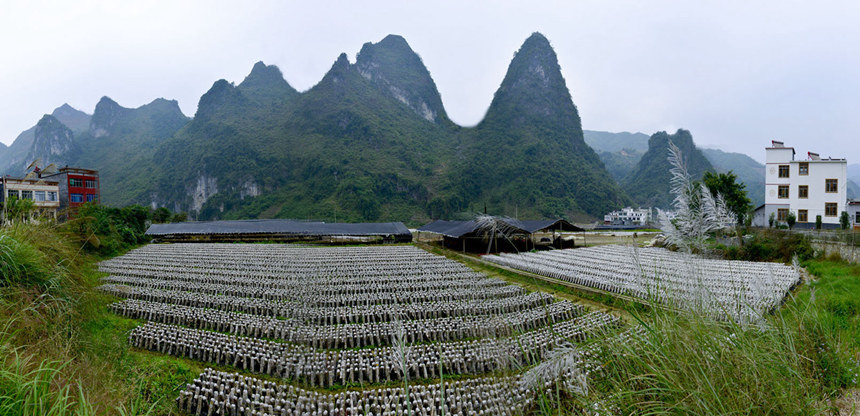 ¶��ʳ�þ����ء�