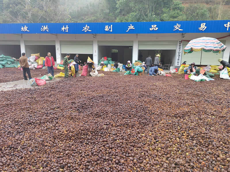 ��ժ�����Ͳ���ѷe��ɽ�������ܔz