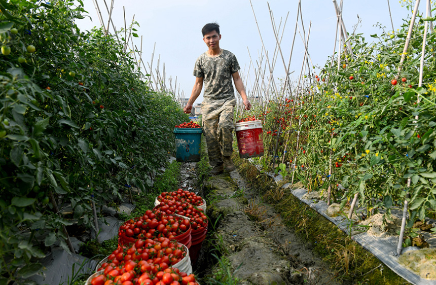 ��ɫ����ꖅ^(q��)�^���(zh��n)�f�����t��ϲ�@�S�������r(n��ng)æ����ժ���\(y��n)ݔ���S���z