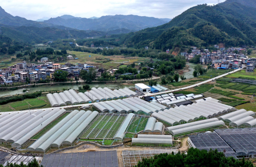 �����������οh�����(zh��n)���ִ��߲˷Nֲʾ�����������տ��z