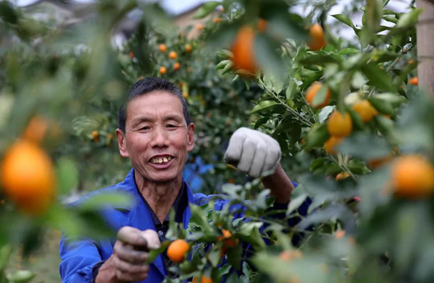 �ڰ��hһ���Nֲ�����ڲ��ս�ۡ��ڰ��h��ý�w���Ĺ��D