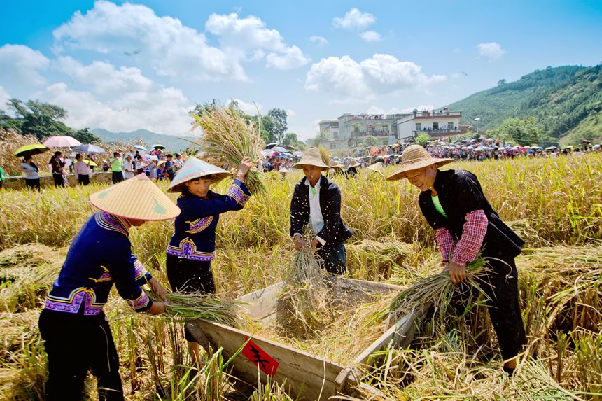 �������ڴ����