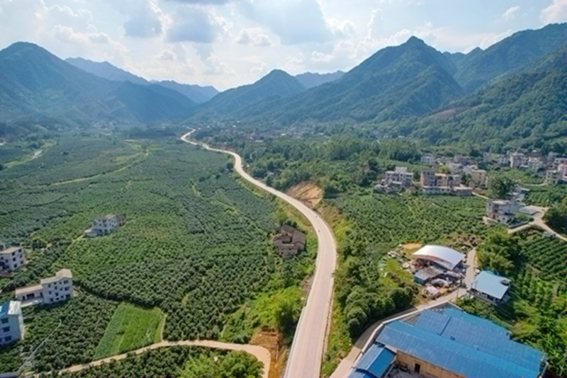 ��ɽ�����﹫·���ĈD����Ͷ��·���F(tu��n)���D