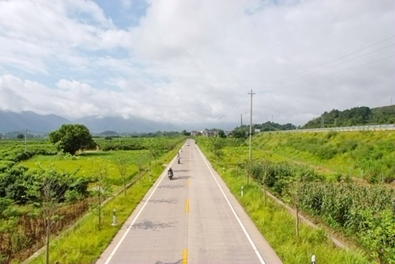 蒙山至金田公路便捷當(dāng)?shù)厝罕姵鲂小1蓖豆芳瘓F(tuán)供圖