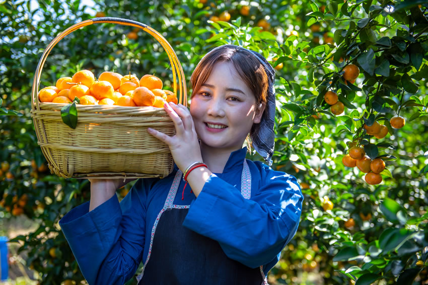 ��N�N��ɰ�ǽ�׌�˴����������ܽ��i�z