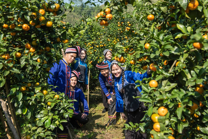 �ο��w�(y��n)��ժ��(l��)Ȥ���ܽ��i�z