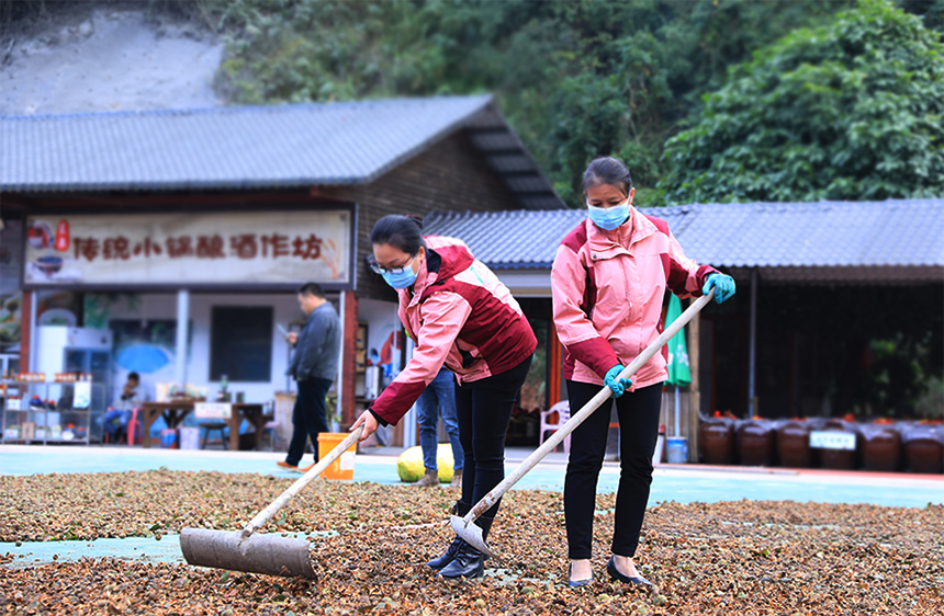 �����������Ͳ����