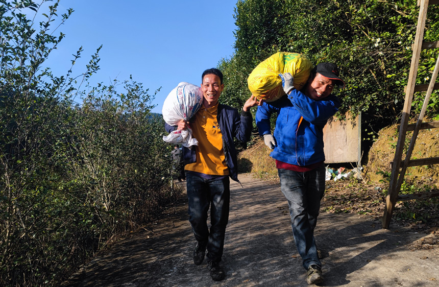 ���񌢄���ժ���Ͳ������ɽ��