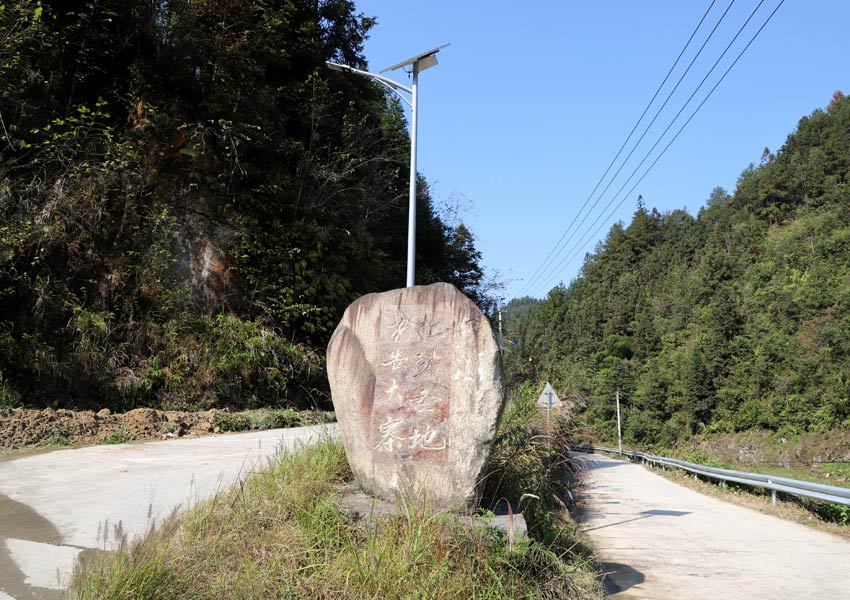 ����·��(bi��o)�������z