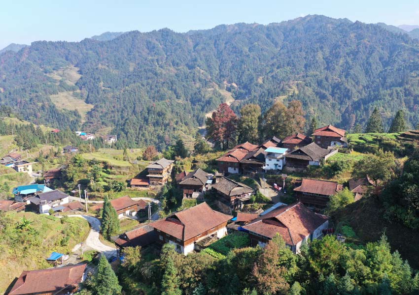 �����կ�����f�˺�z