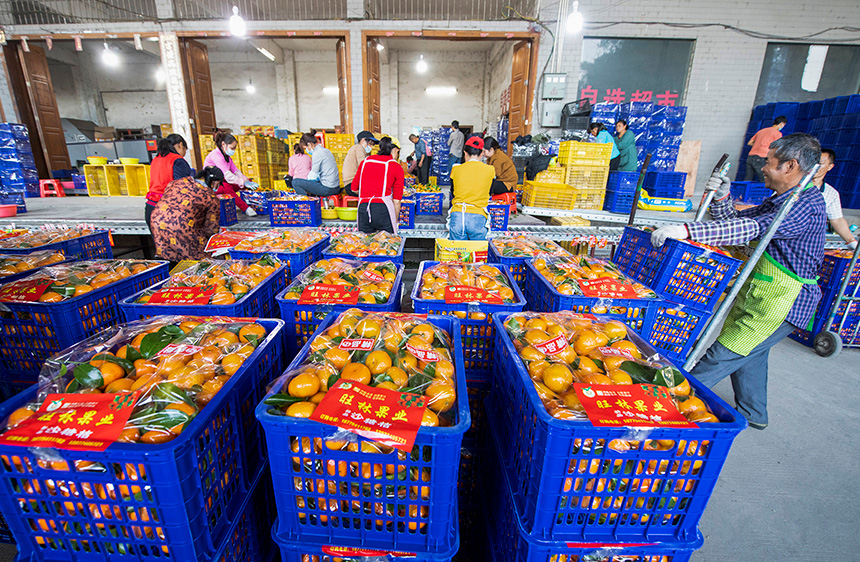 ���˂����ڷ֒����b�\ɰ������