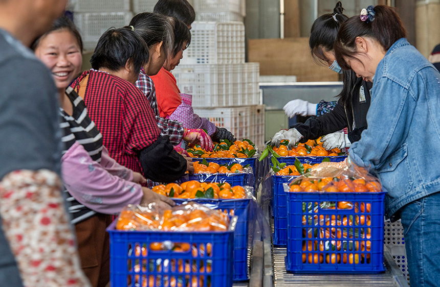 ���˂����bɰ������