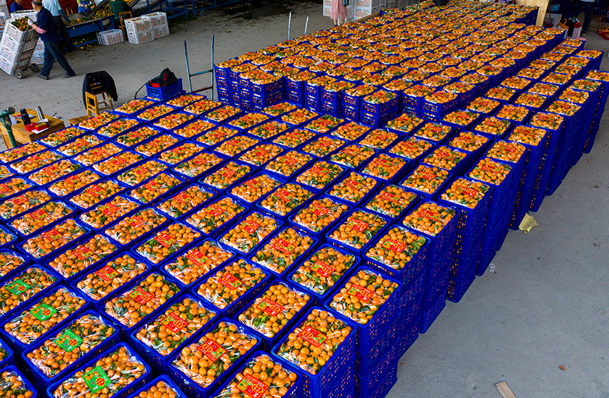 ���b�õ�ɰ�������R�a����